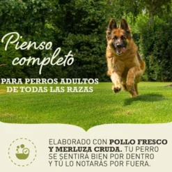 Acana Senior ração para cães
