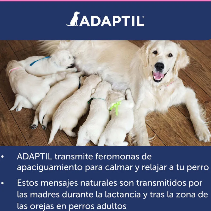 Adaptil Junior Coleira Anti-stress para cães