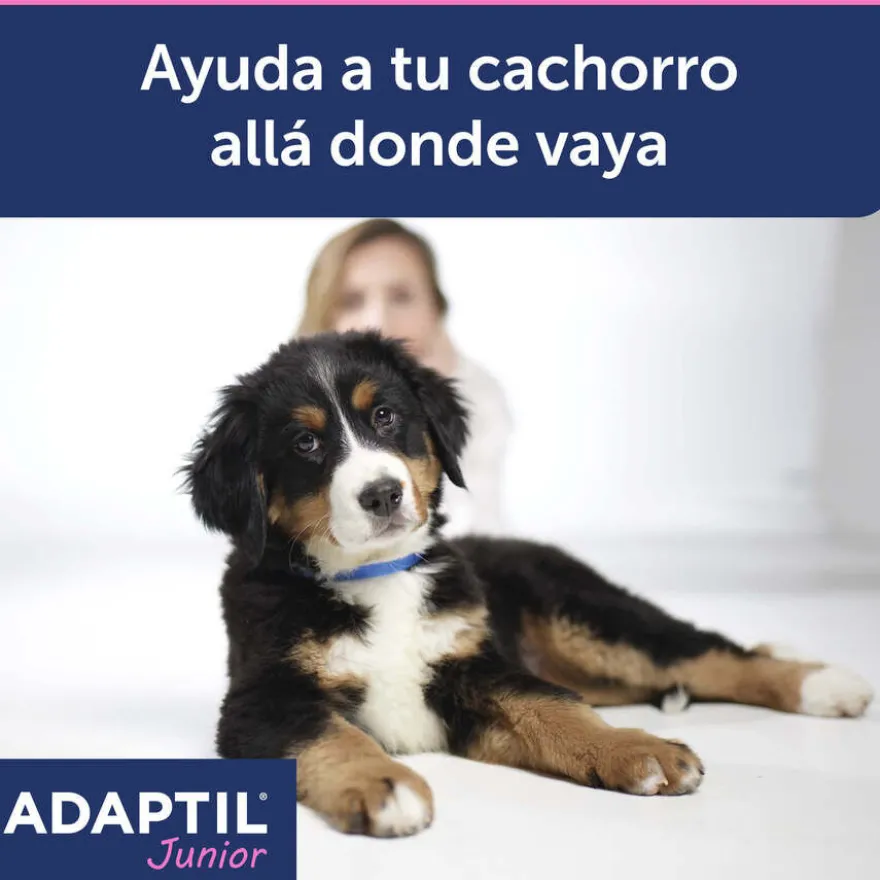 Adaptil Junior Coleira Anti-stress para cães