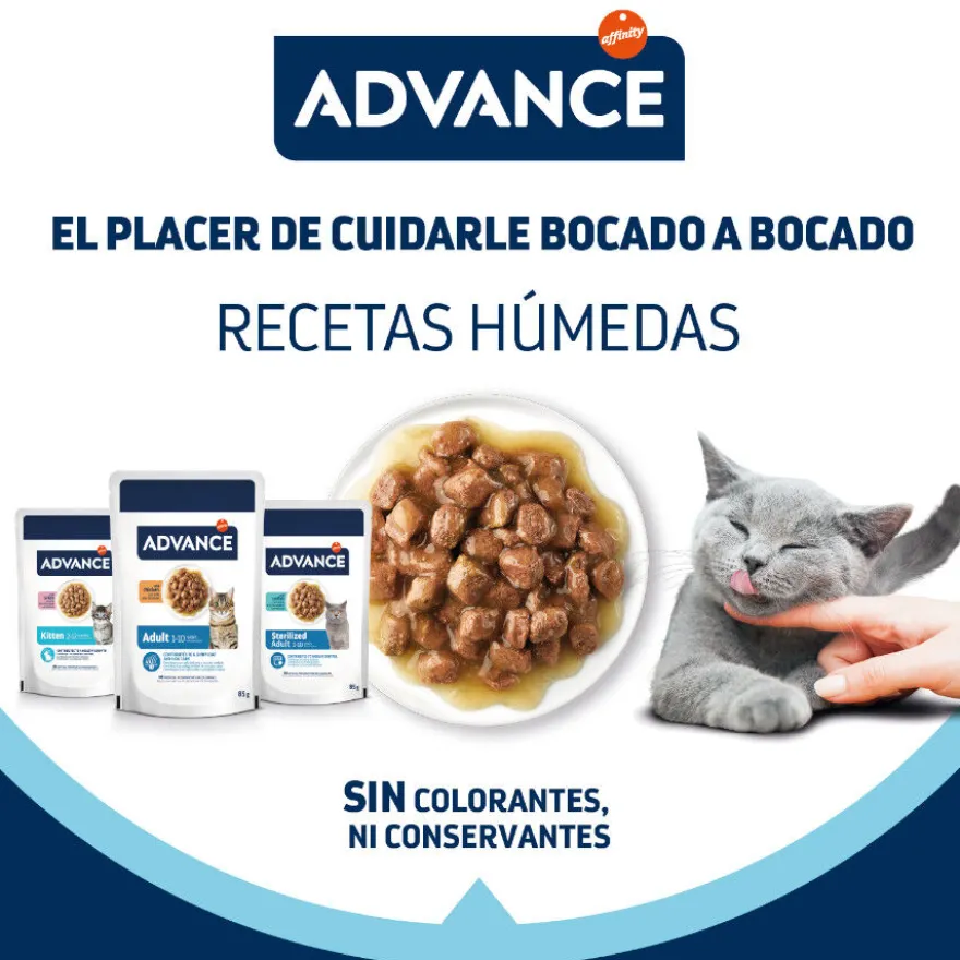 Advance Kitten Peru em molho saquetas