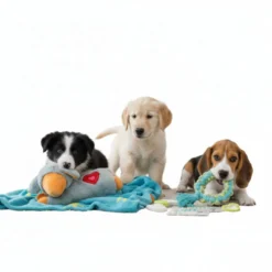 All For Paws Pups Kit de brinquedos para cachorros