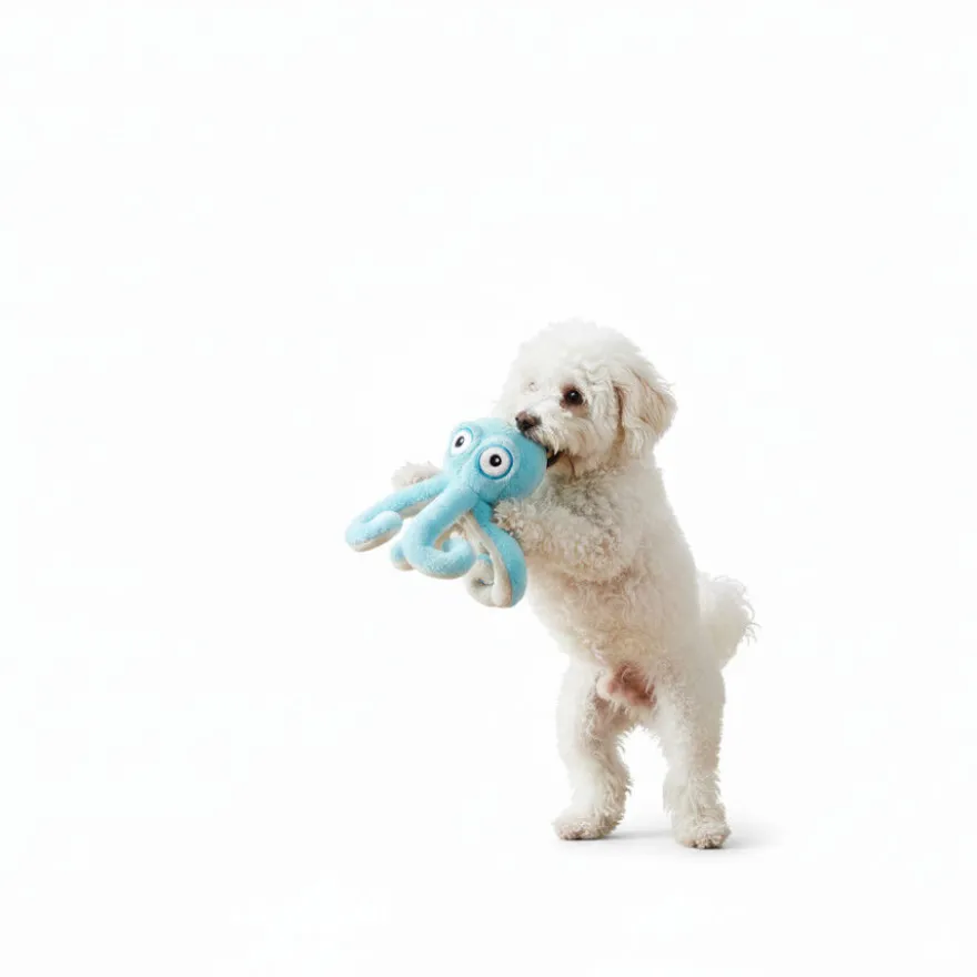 All For Paws Ultrasonic Brinquedo polvo para cães