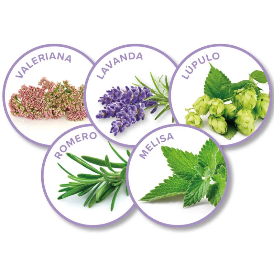 Beaphar No Stress difusor e Recargas de Aroma Suavizantes de Gato