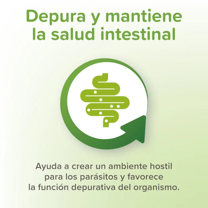 Beaphar Vermipure Repelente Interno Natural em comprimidos para cães de porte médio e grande