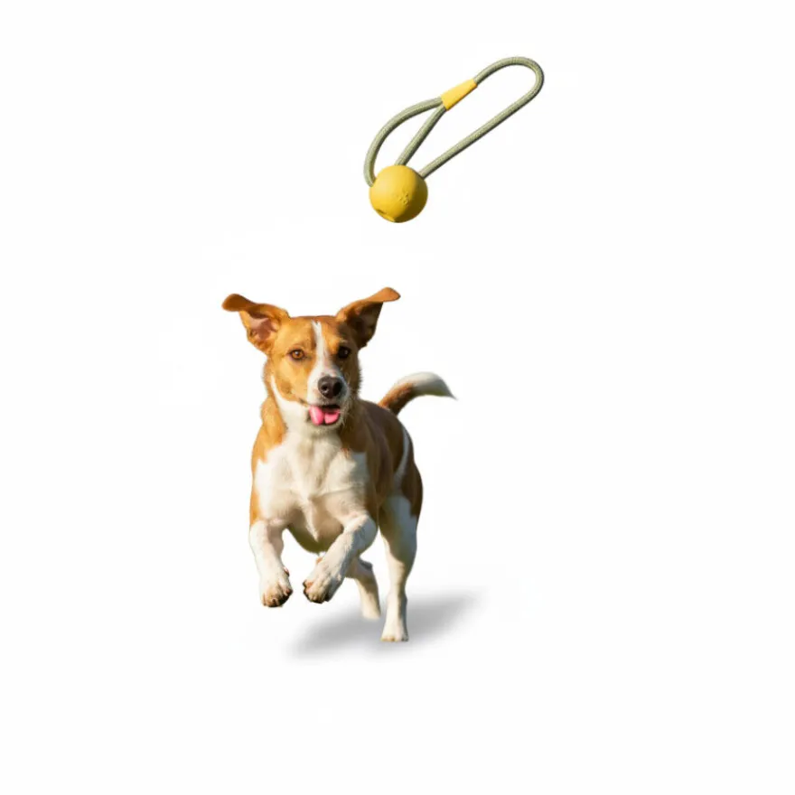 BECO Mordedor bola de lançar amarela para cães