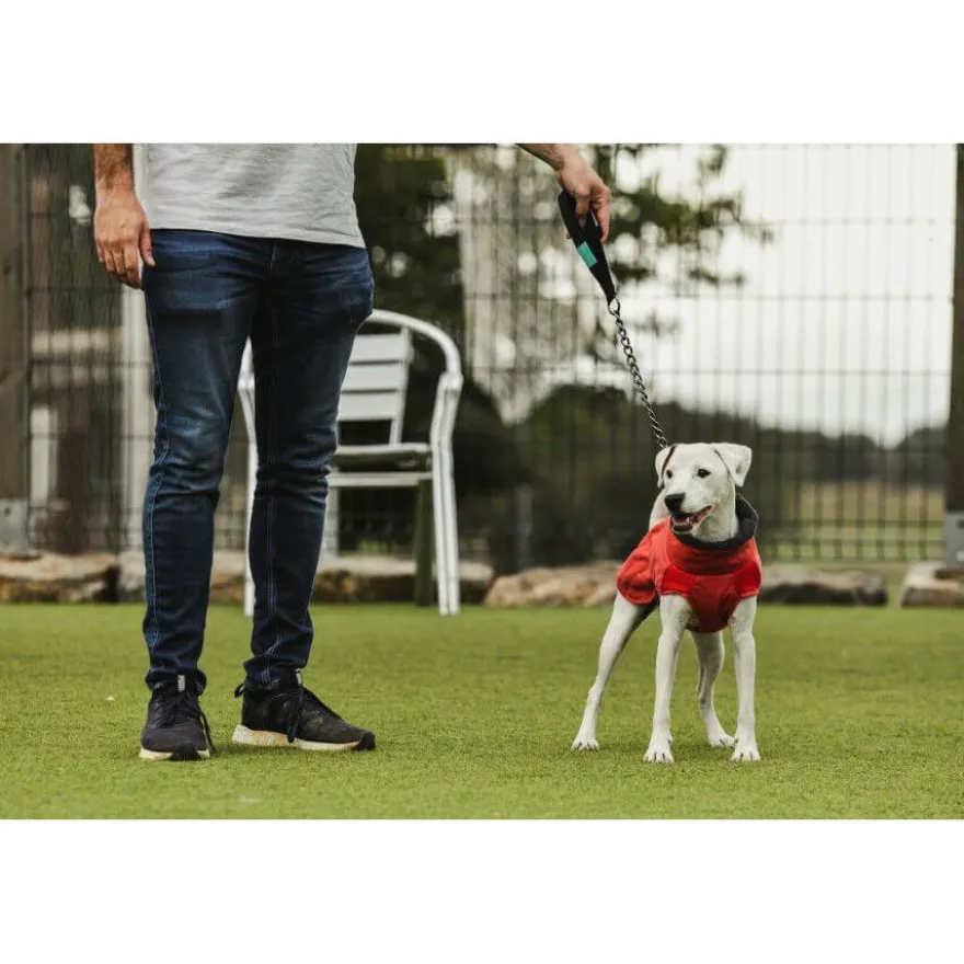 Casaco impermeável vermelho Freedog Oymyakon com arnês para cães