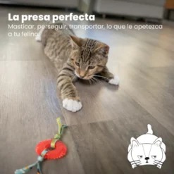 Catstages Kitty Chew Vermelha Brinquedo Roda Mordedora para gatos