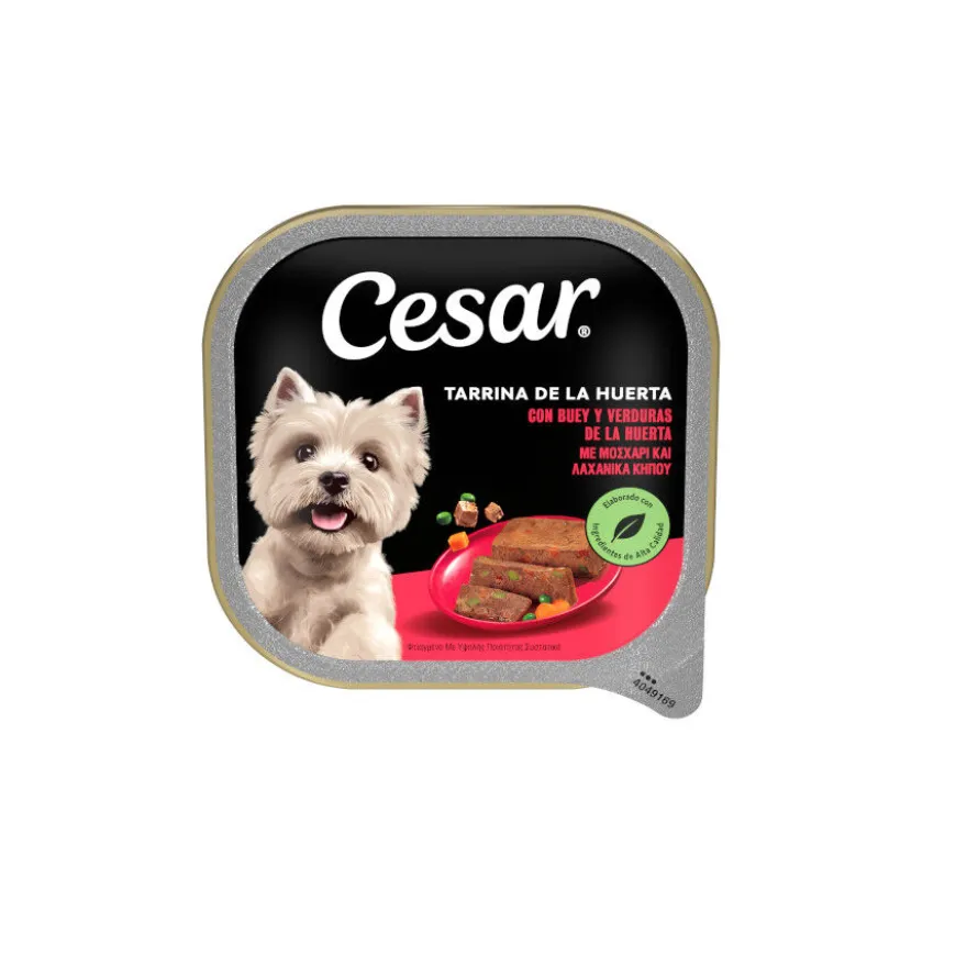 Cesar Boi e Legumes Terrina em Geleia para Cães