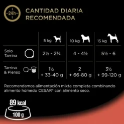 Cesar Boi Terrina em Patê para Cães