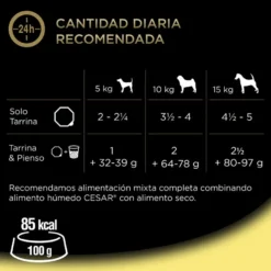 Cesar Frango e Arroz Terrina em Geleia para Cães Sénior