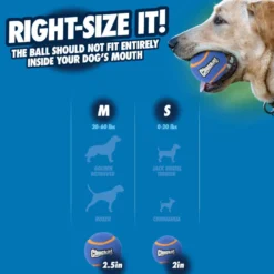 Chuckit! Squeaker Bola de Ténis com Som para cães