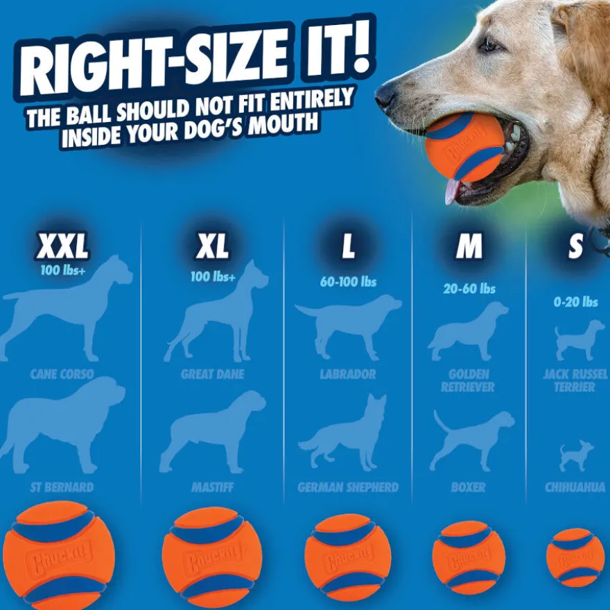 Chuckit! Ultra Bola Laranja para Cães Pequenos