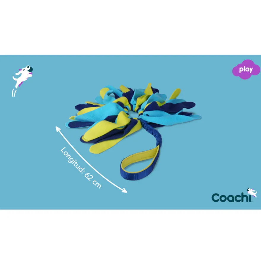 Coachi Tuggi Spider brinquedo para cães