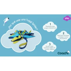 Coachi Tuggi Spider brinquedo para cães