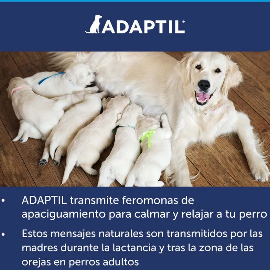 Coleira tranquilizante para cães