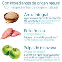 Criadores Científico Adulto Medium Ração de frango para cães