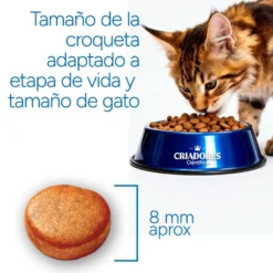 Criadores Científico Adulto Ração de frango para gatos