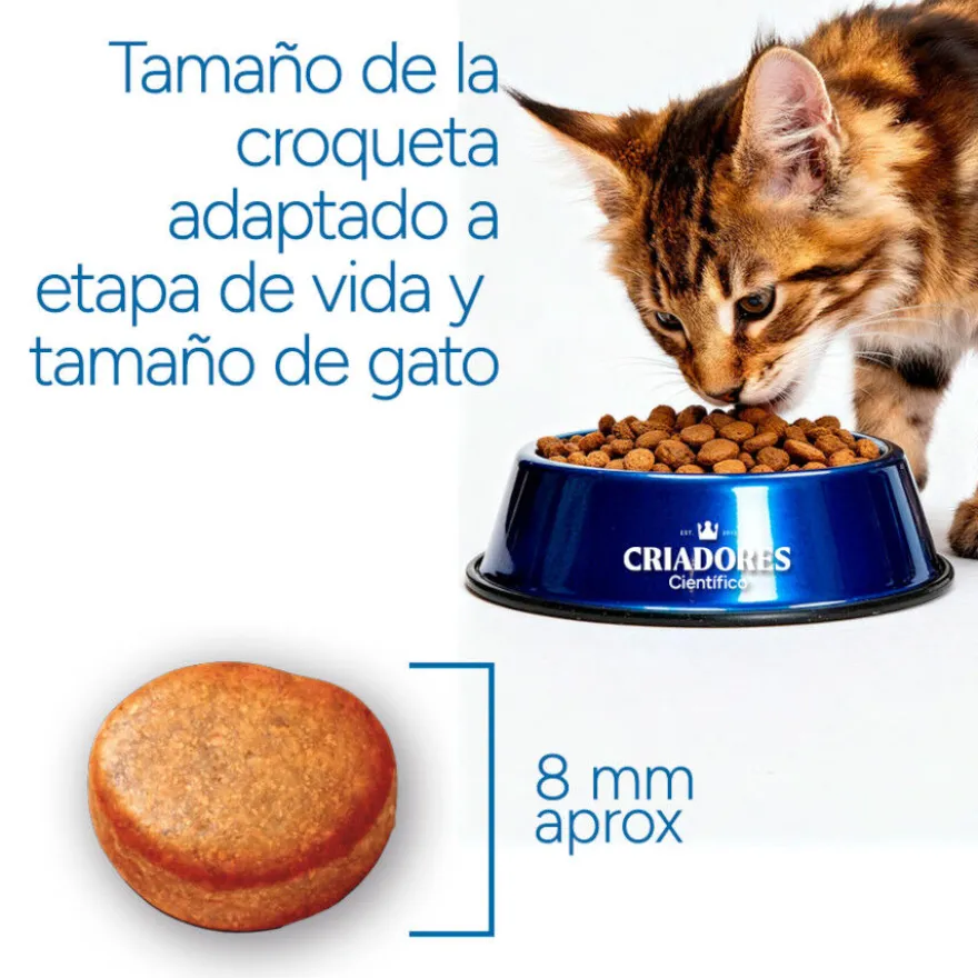 Criadores Científico Mature +7 Ração de frango para gatos