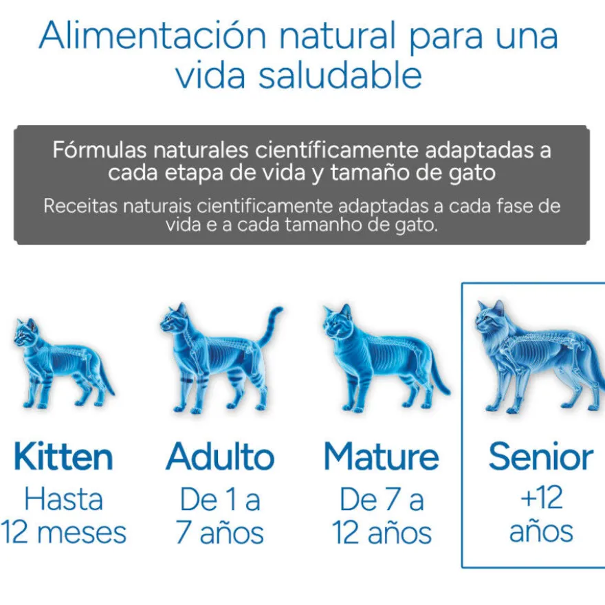 Criadores Científico Senior +12 Ração de peixe para gatos