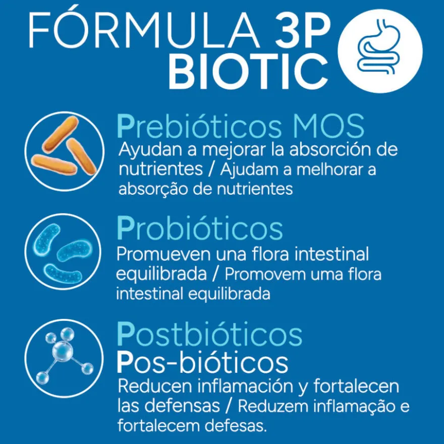 Criadores Científico Senior +12 Ração de peixe para gatos