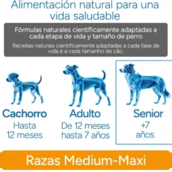 Criadores Científico Senior Sensitive Medium-Maxi Ração de salmão para cães