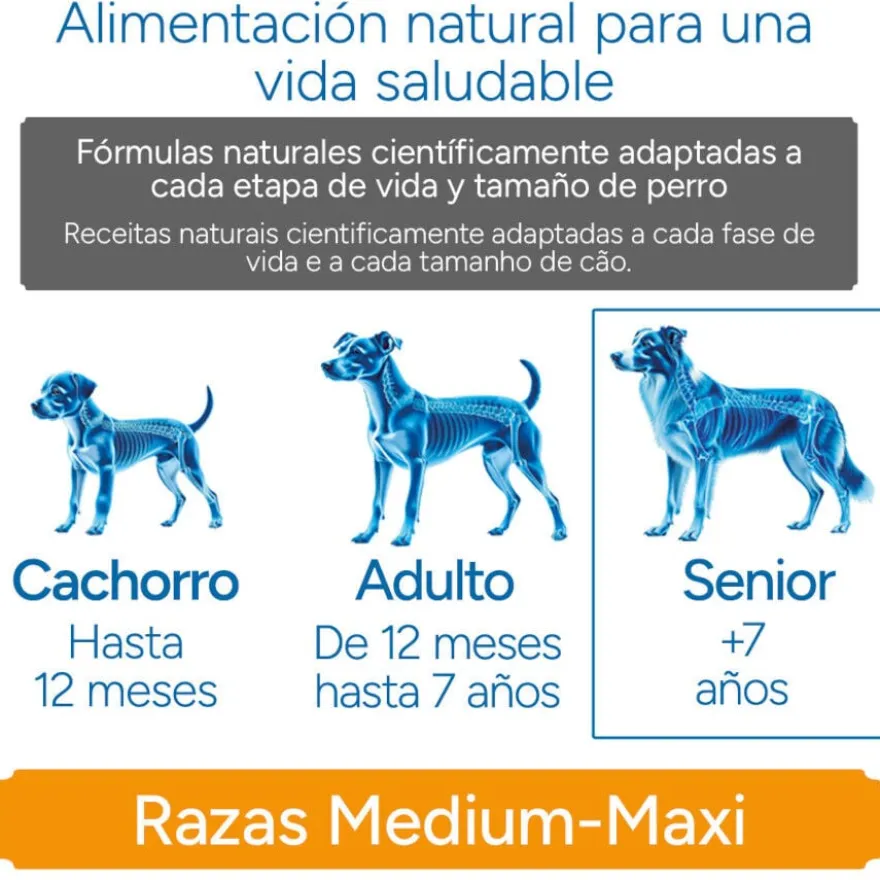 Criadores Científico Senior Sensitive Medium-Maxi Ração de salmão para cães