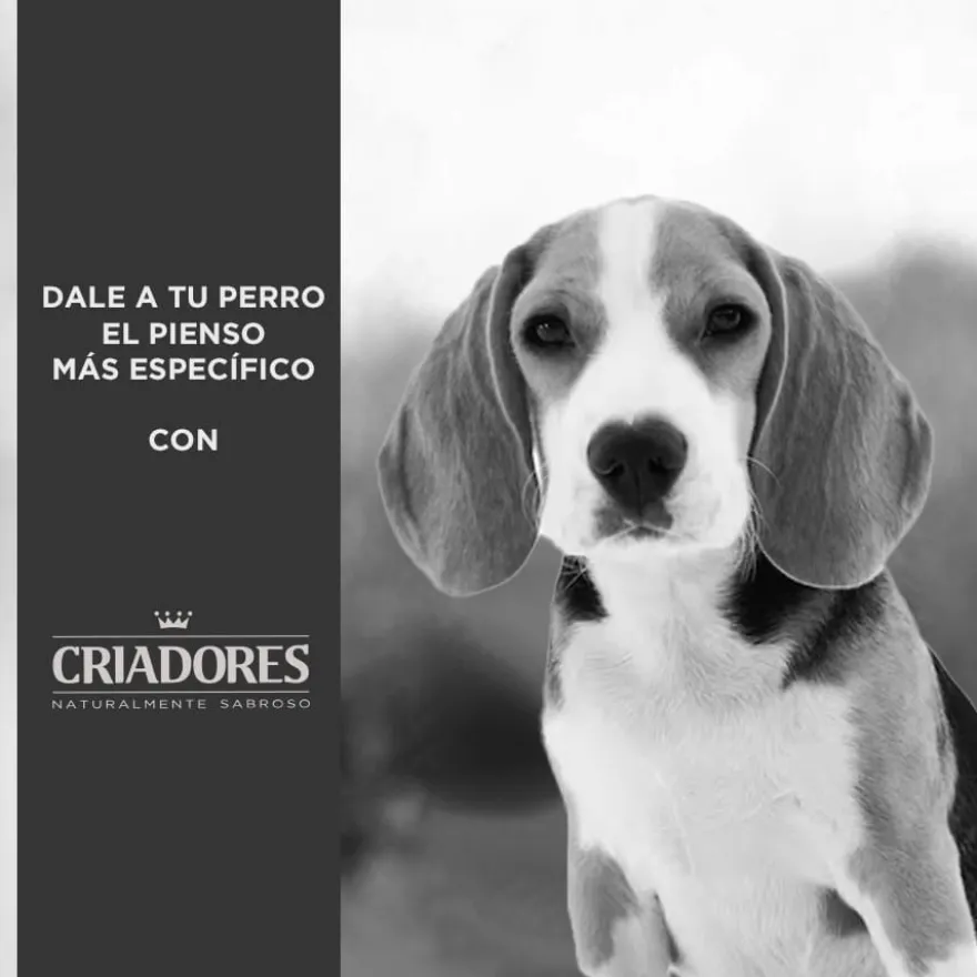 Criadores Dietetic Hipoalergénico Adulto ração para cães