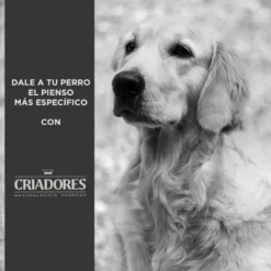 Criadores Senior Frango e Arroz ração para cães de raças médias e grandes