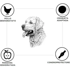 Criadores Senior Frango e Arroz ração para cães de raças médias e grandes