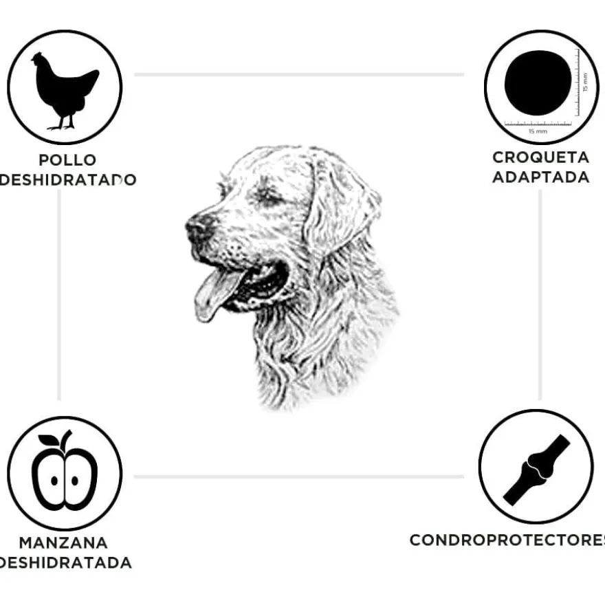 Criadores Senior Frango e Arroz ração para cães de raças médias e grandes