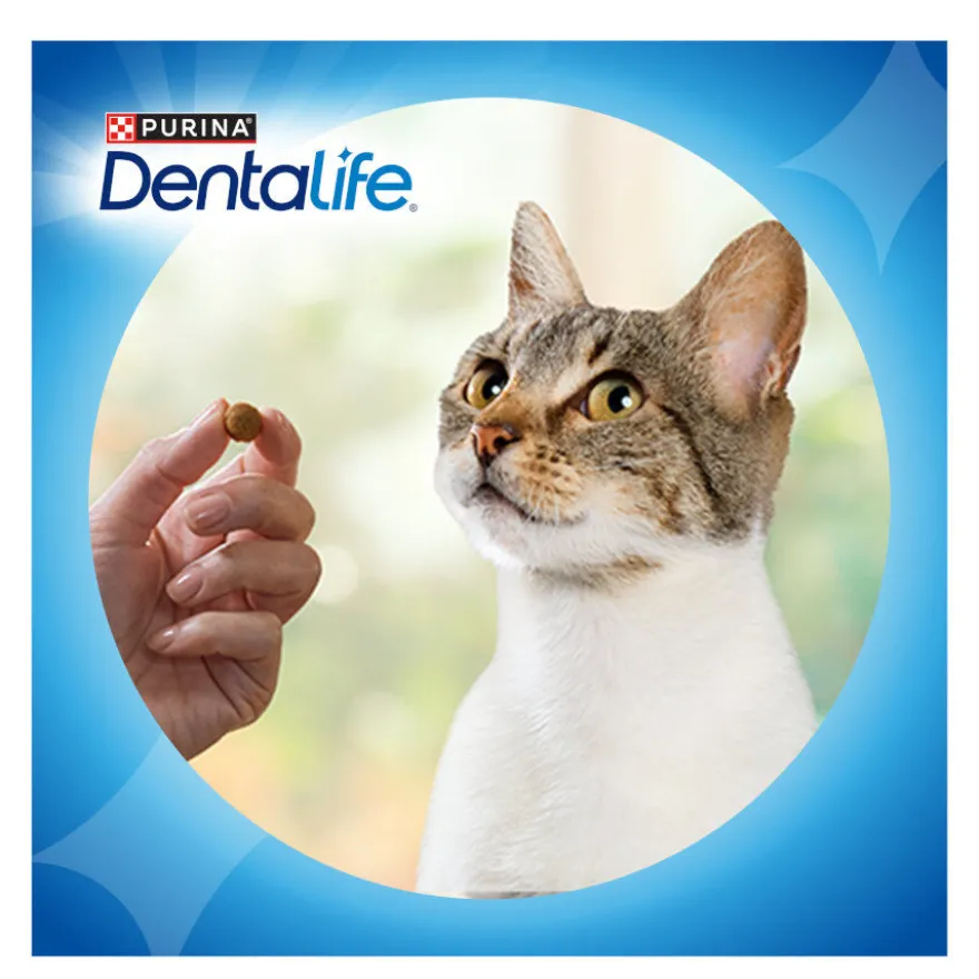 Dentalife Daily Oral Salmão Snacks Dentários para gatos