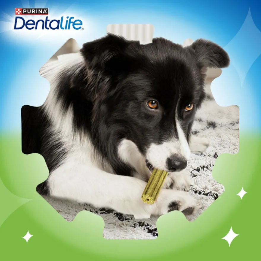 Dentalife Snacks Dentários Medium ActivFresh para cães