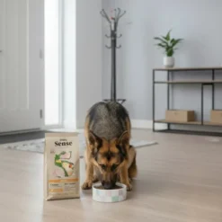 Dibaq Sense Low Grain Adult Ração de Frango para cães