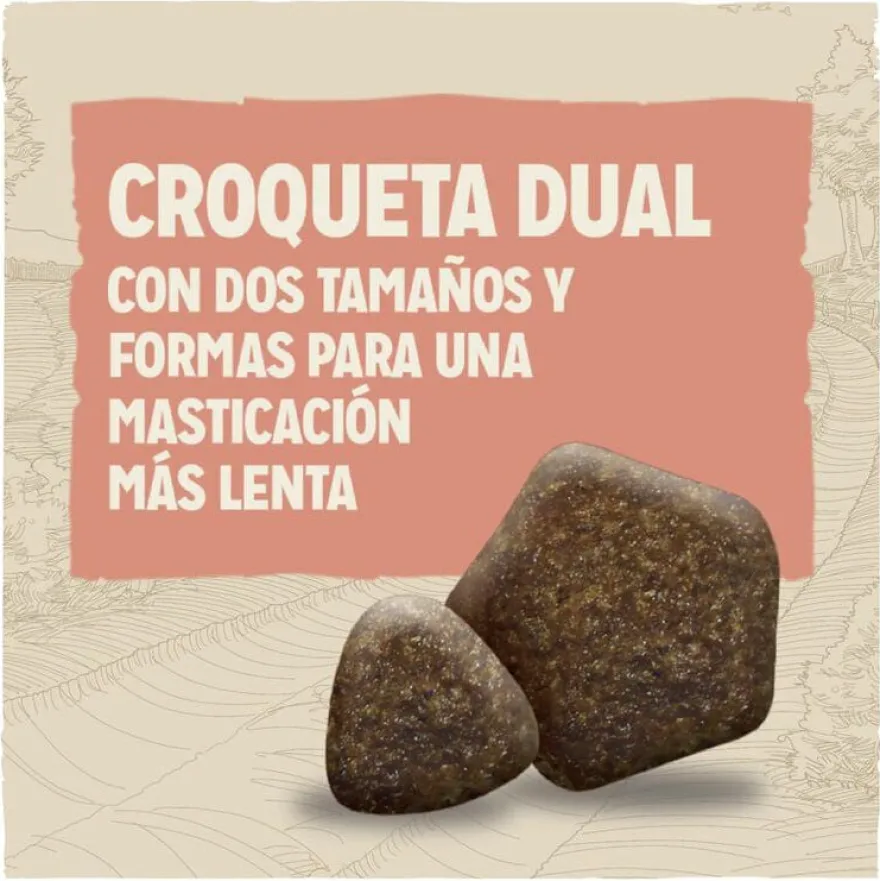 Dog Chow Active ração para cães