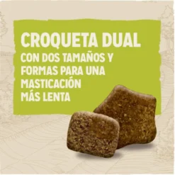 Dog Chow Adult borrego ração para cães