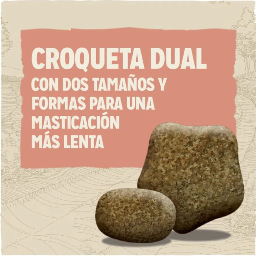 Dog Chow Light Peru ração para cães