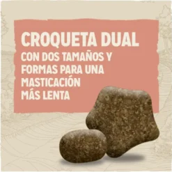 Dog Chow Sensitive com salmão ração para cães