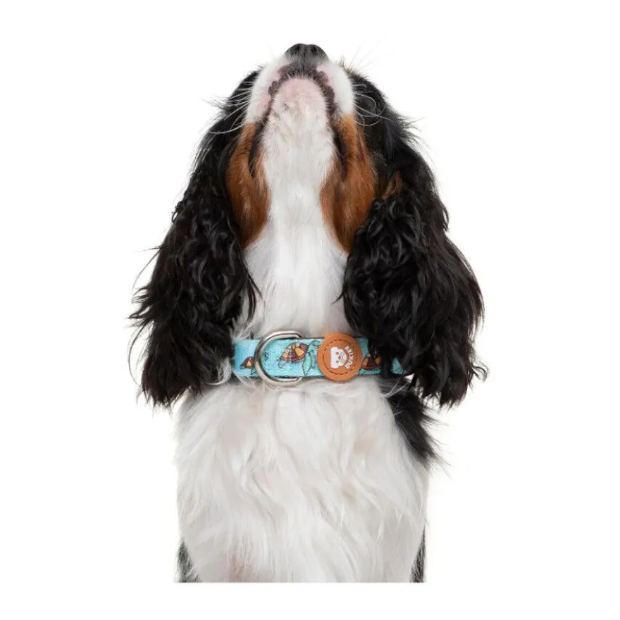 Dukier Coleira com Estampado de Tartarugas para cães