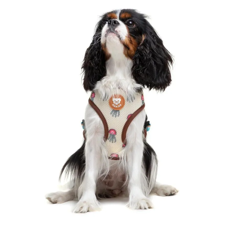 Dukier Peitoral reversível com estampado de tartaruga para cães