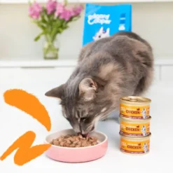 Edgard & Cooper Adult Pedaços de Frango com molho em lata para gatos