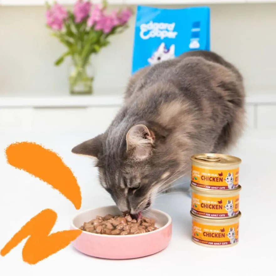 Edgard & Cooper Adult Pedaços de Frango com molho em lata para gatos