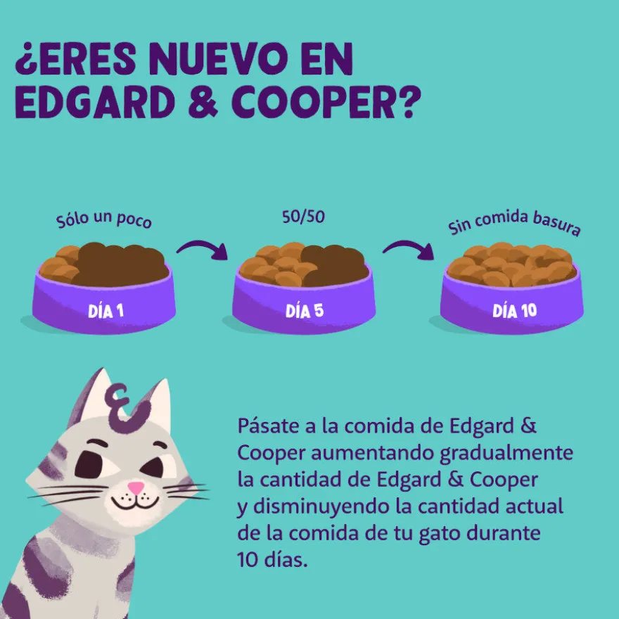 Edgard & Cooper Adult Peru e Frango Orgânico em Paté terrina para gatos