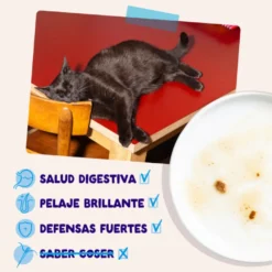Edgard & Cooper Catch of the day em molho em saquetas para gatos