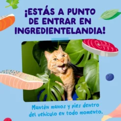 Edgard & Cooper Catch of the day em molho em saquetas para gatos