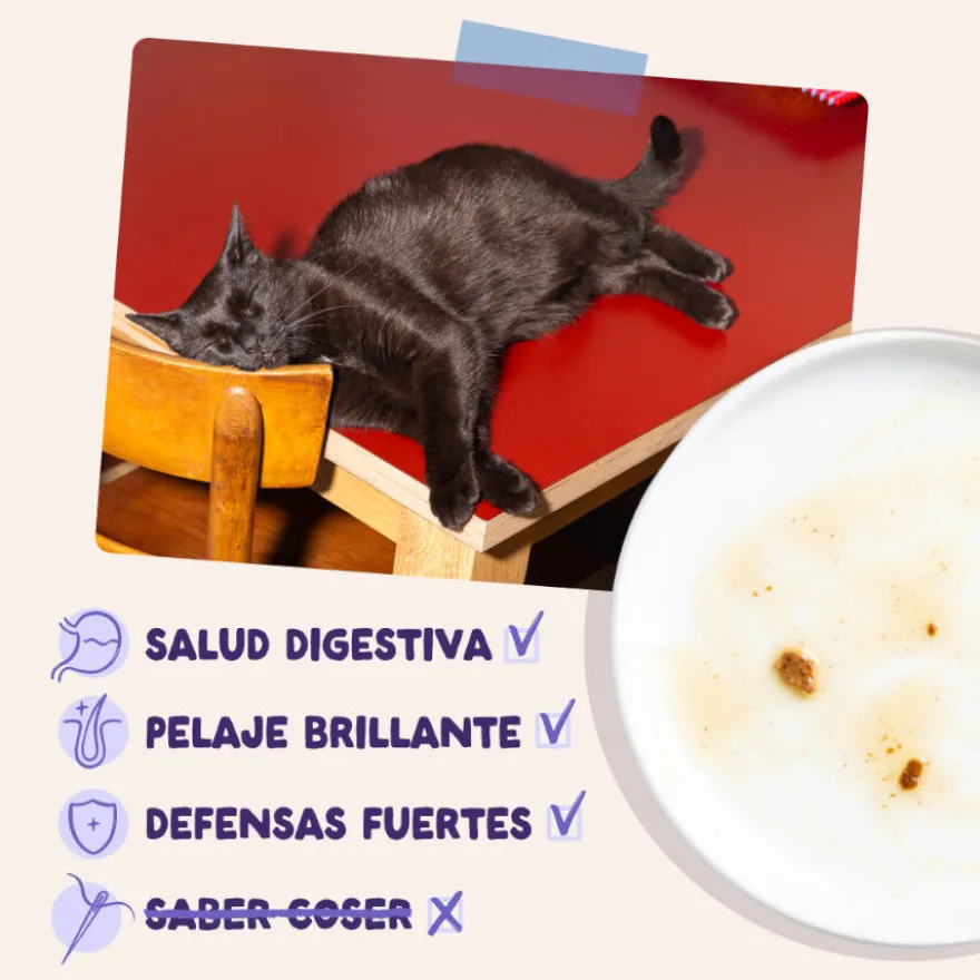Edgard & Cooper Comida húmida de pato e peru em molho em saquetas para gatos