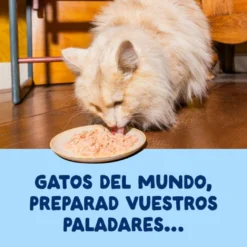Edgard & Cooper Comida húmida Filetes de Atum em Caldo em lata para gatos