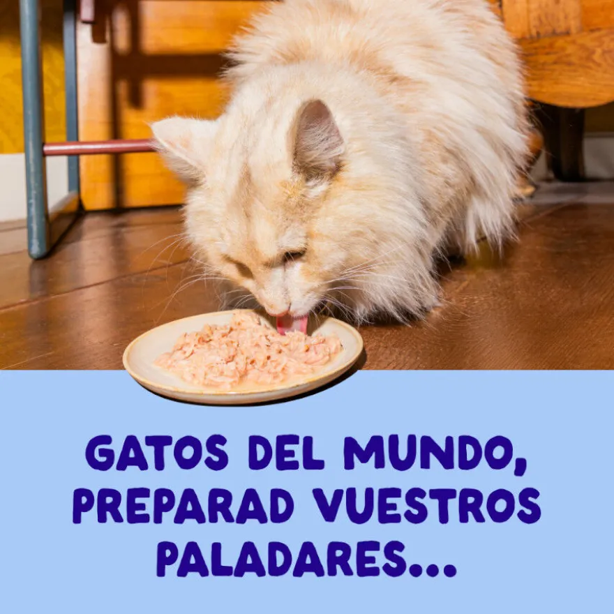 Edgard & Cooper Comida húmida Filetes de Atum e Frango em Caldo em lata para gatos