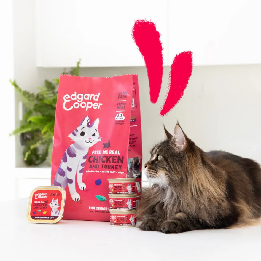 Edgard & Cooper Frango e Peru em Patê terrina para gatos seniores