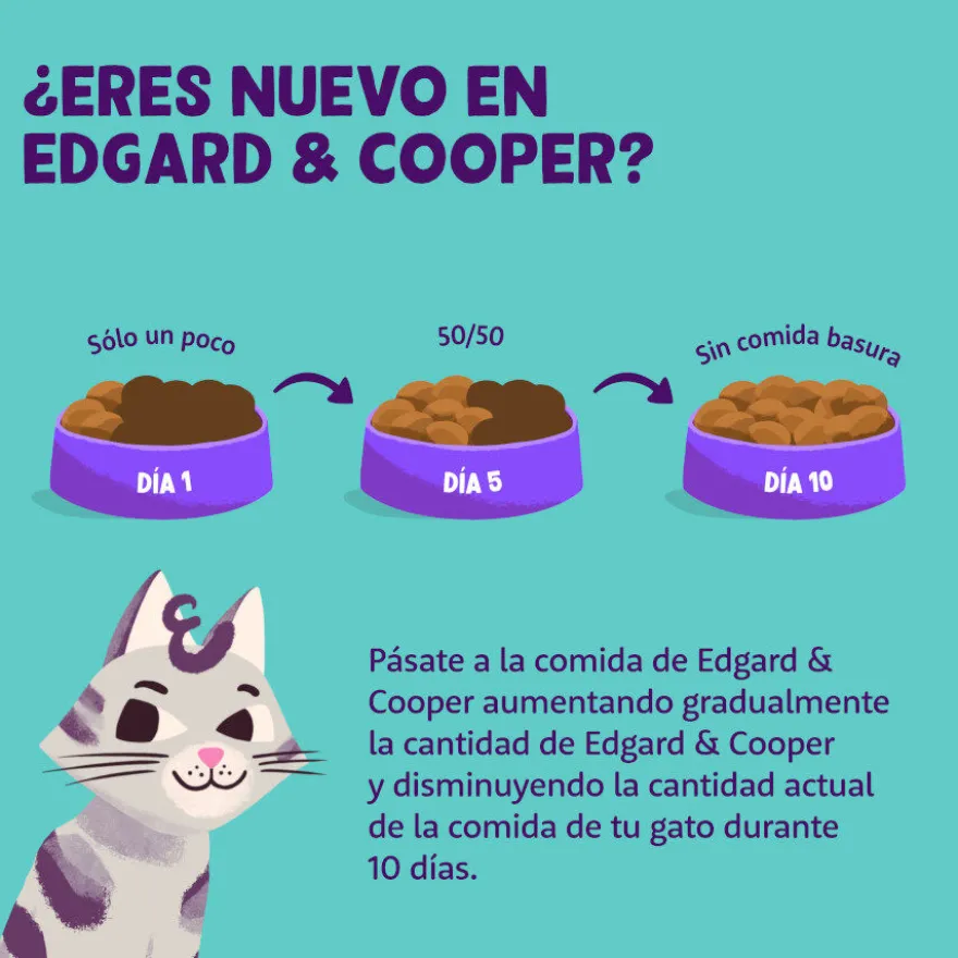 Edgard & Cooper Frango e Peru em Patê terrina para gatos seniores