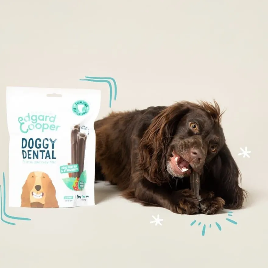Edgard & Cooper Snacks dentários Adult Medium menta e morango para cães